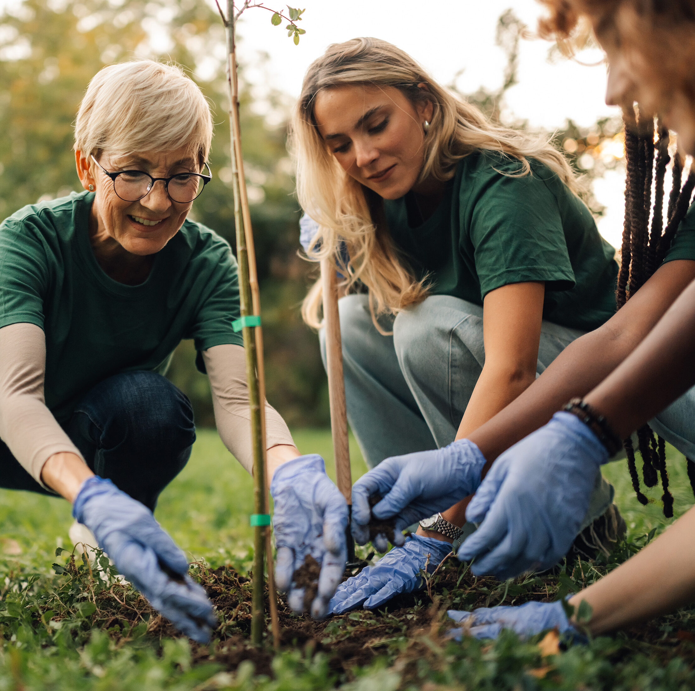 Colleagues planting trees for esg.
